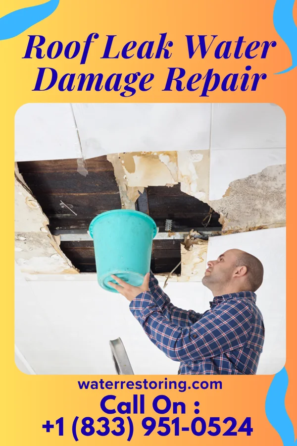 Roof Leak Water Damage Repair in Montevideo, MN
