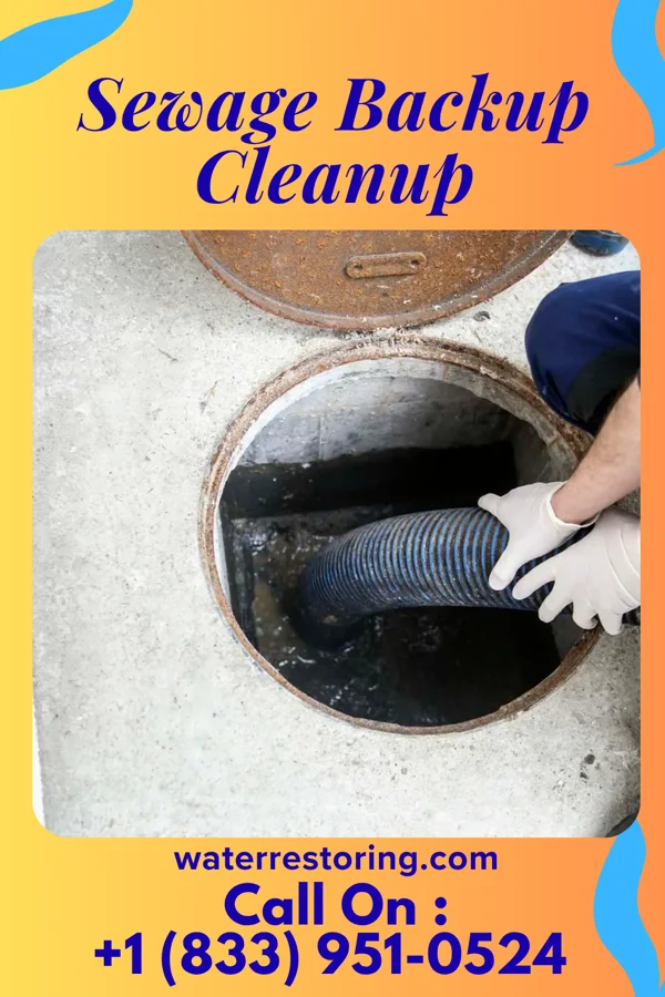 Sewage Backup Cleanup in Montevideo, MN